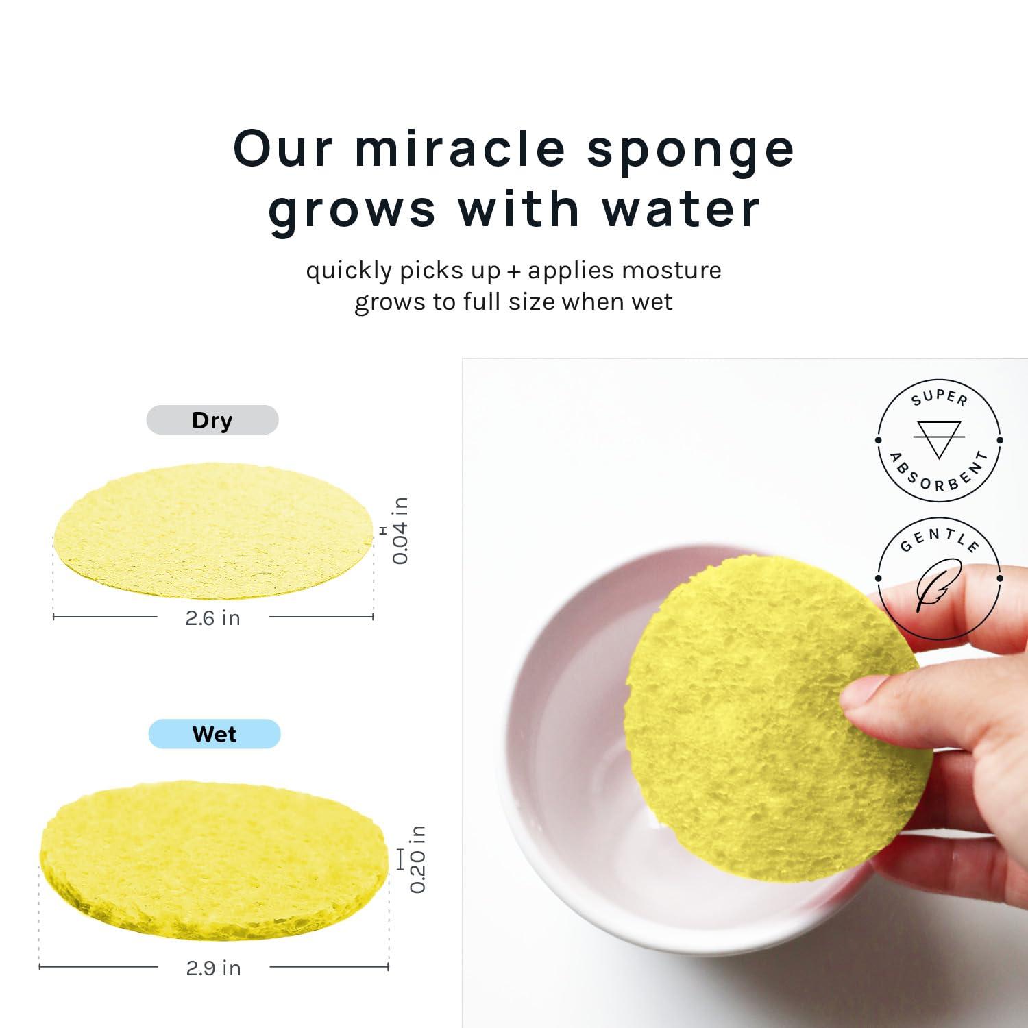 image:imageAOA Studio 50Count Compressed Facial Sponges 100 Natural Cosmetic Spa Sponges for Facial Cleansing Exfoliating Mask Remove for Makeup Dead Skin and Dirt White 50 countsYellow